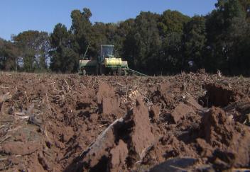 Wheat planting nearly complete