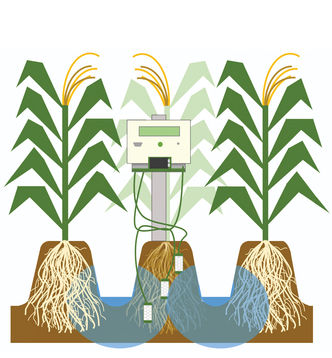 Efficient Irrigation Saves Water and Money: The STAMP Program