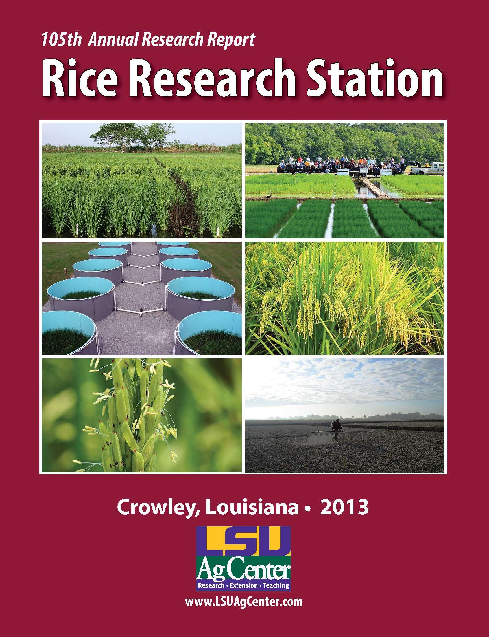 2013 Rice Research Station Annual Report