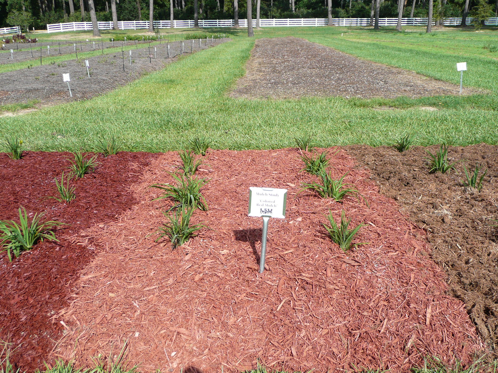 Landscape Mulch Demonstration Study