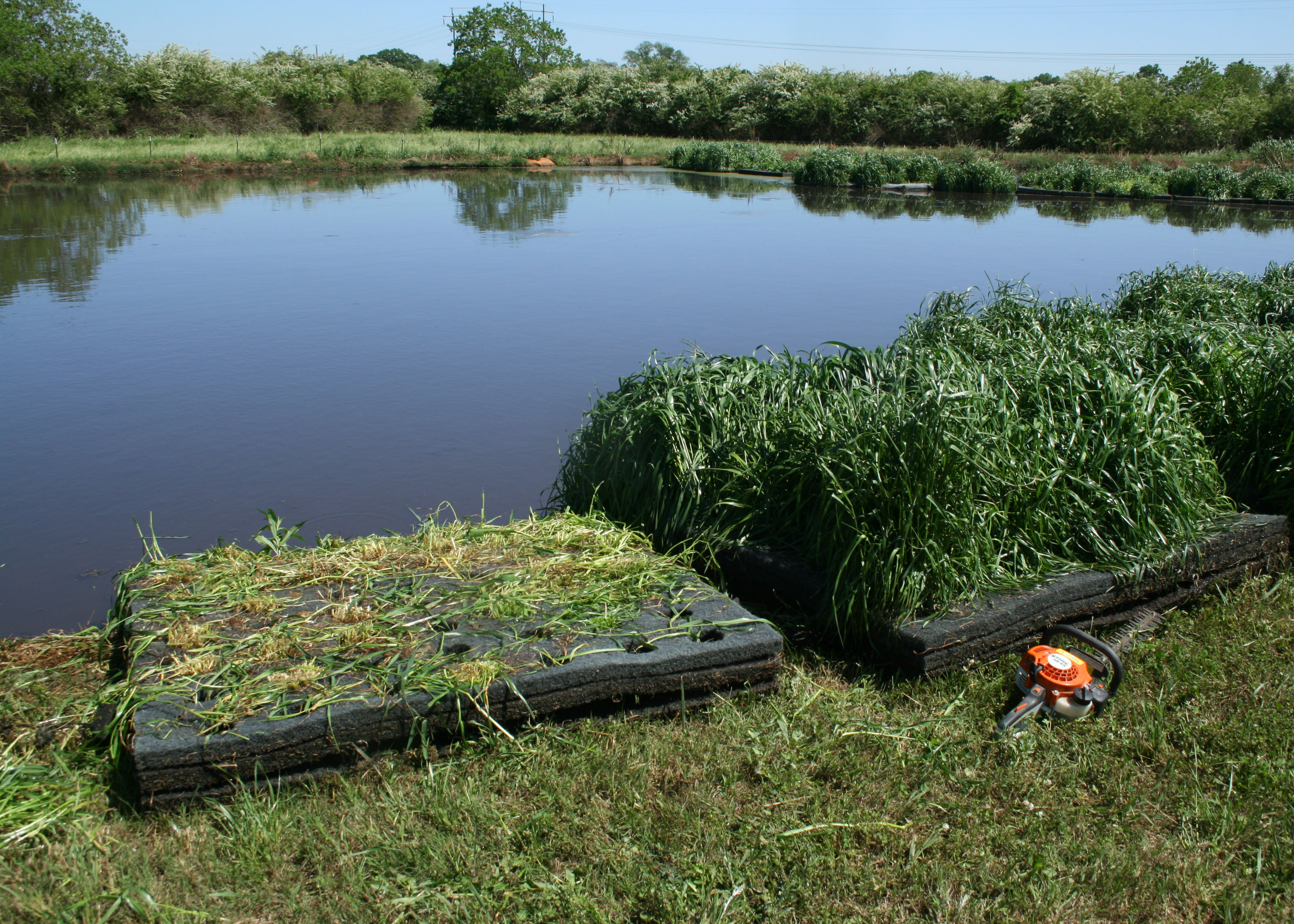 Treatment of Human Wastewater Using Floating Wetlands Systems 