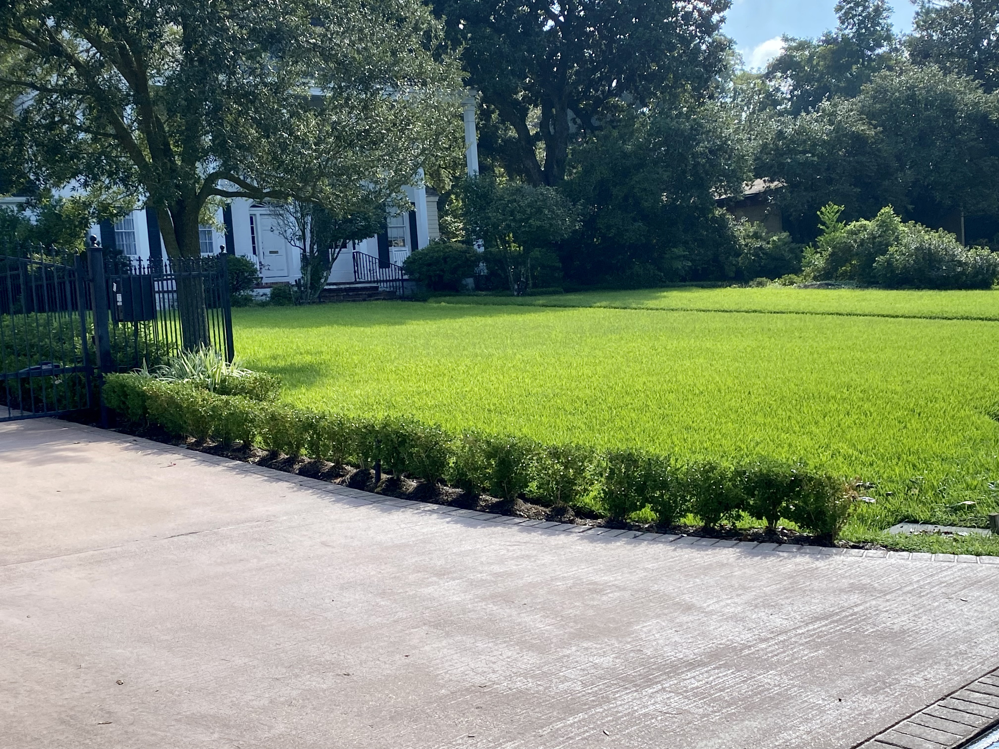 Good hedges make good neighbors