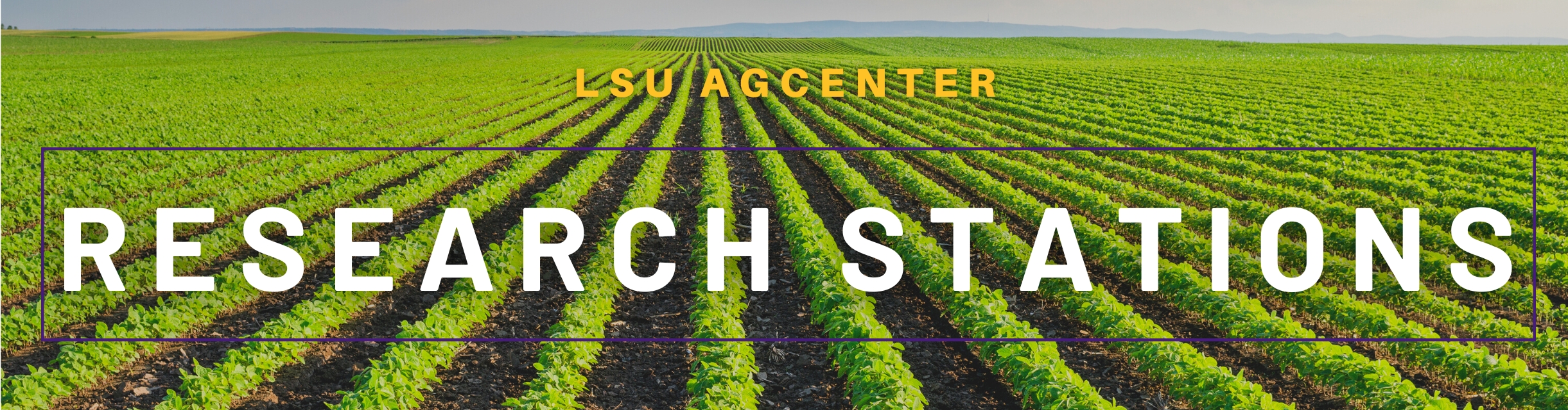 LSU AgCenter Research Stations banner.