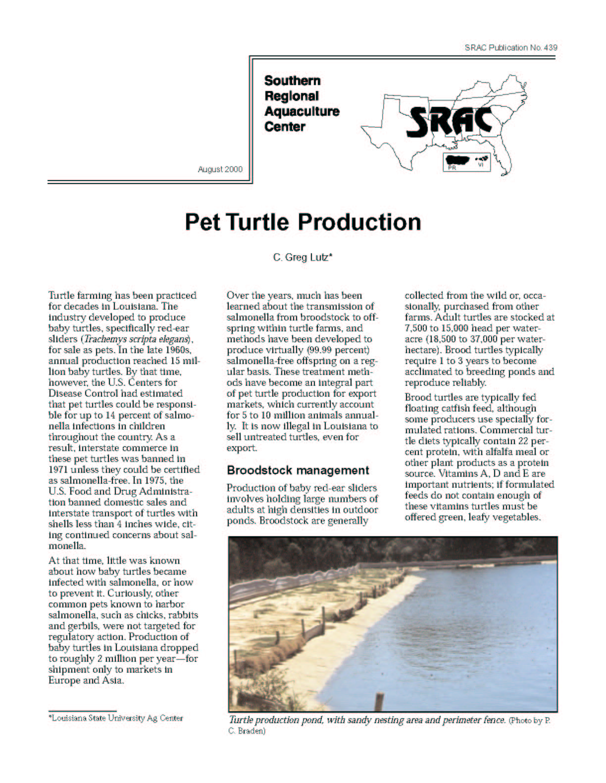 Pet Turtle Production