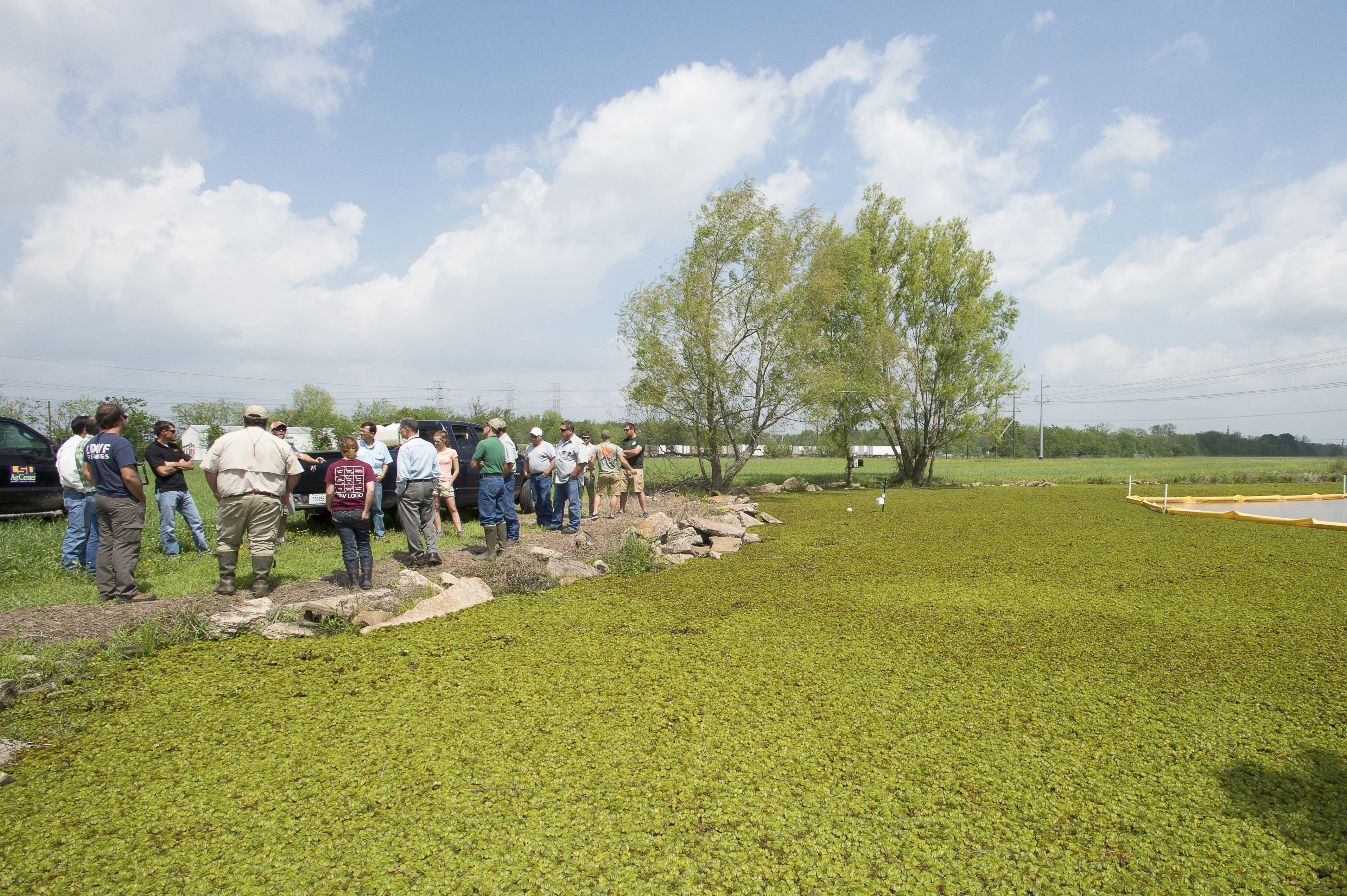 Workshop focuses on biocontrol for giant salvinia 