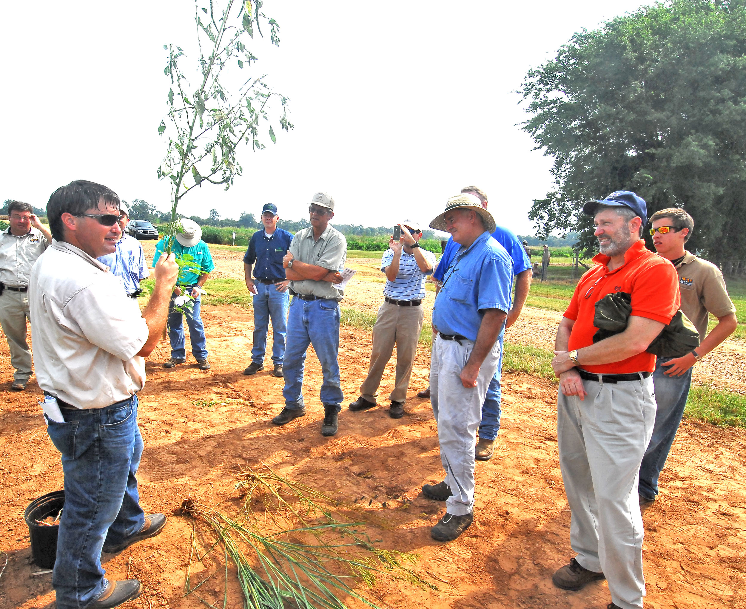 Herbicide resistance looms as problem for Louisiana soybean farmers