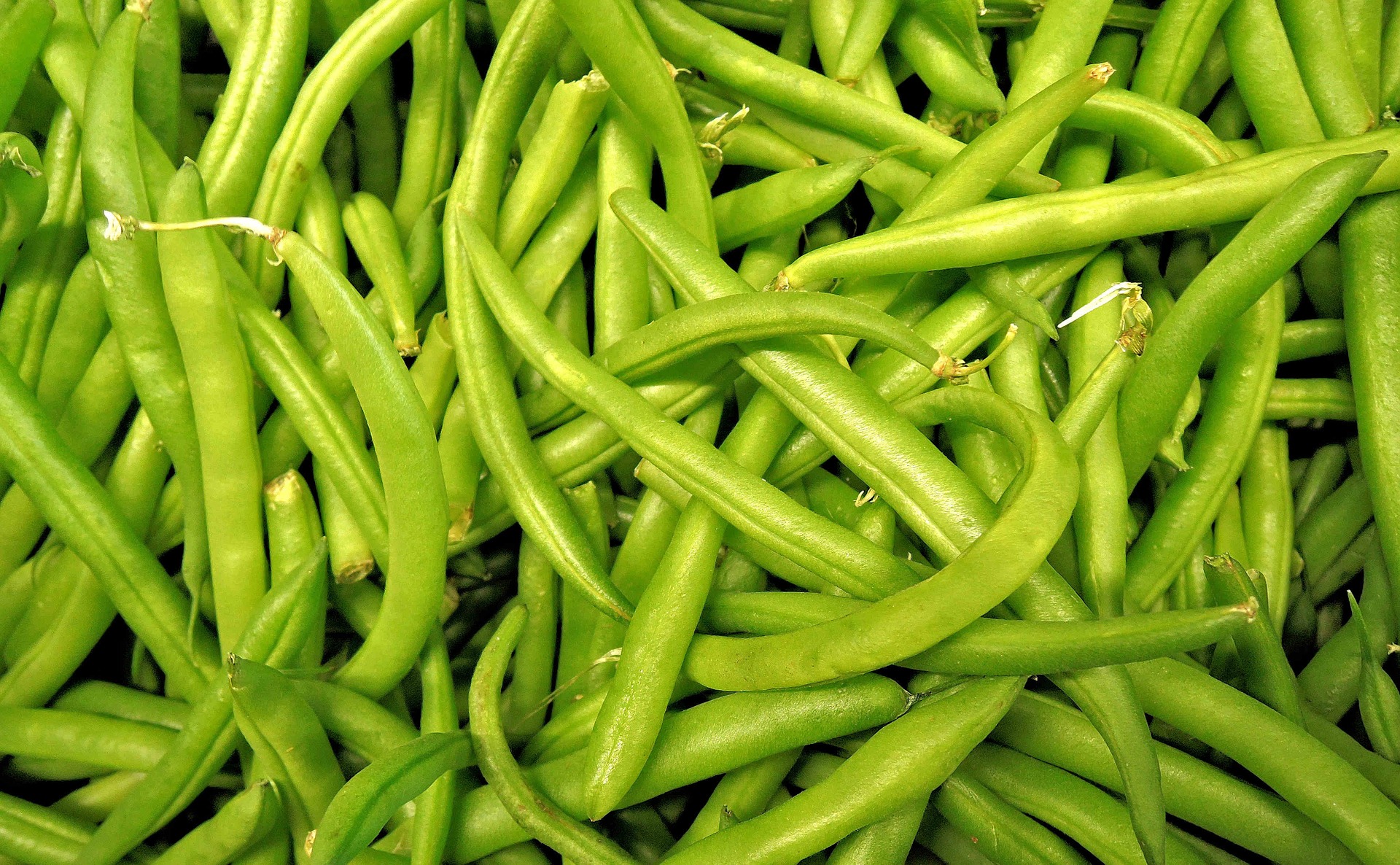 green-beans-1018624_1920jpg