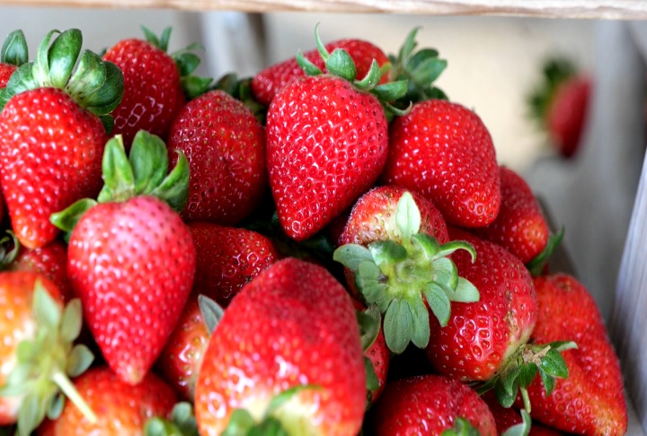 Strawberries survived snow and cold and production starting to pick up