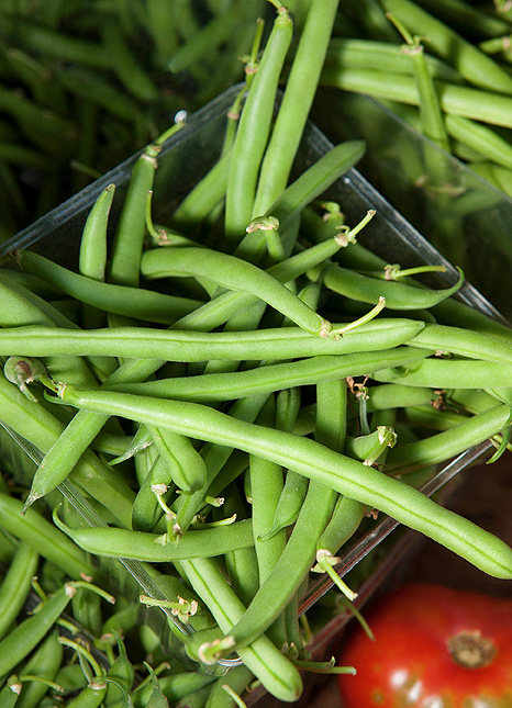 Snap Beans Can be Planted in March