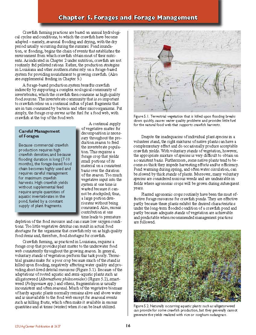 Forages and Forage Management