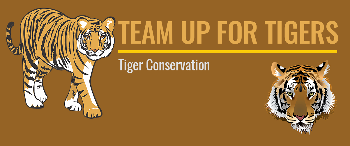 Team up for tigers banner.
