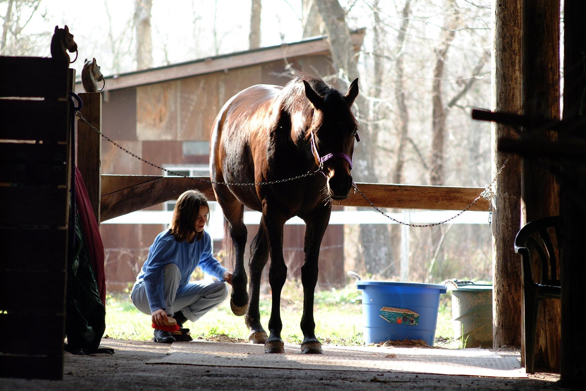 Horse Expert Lists Benefits of Horse Ownership
