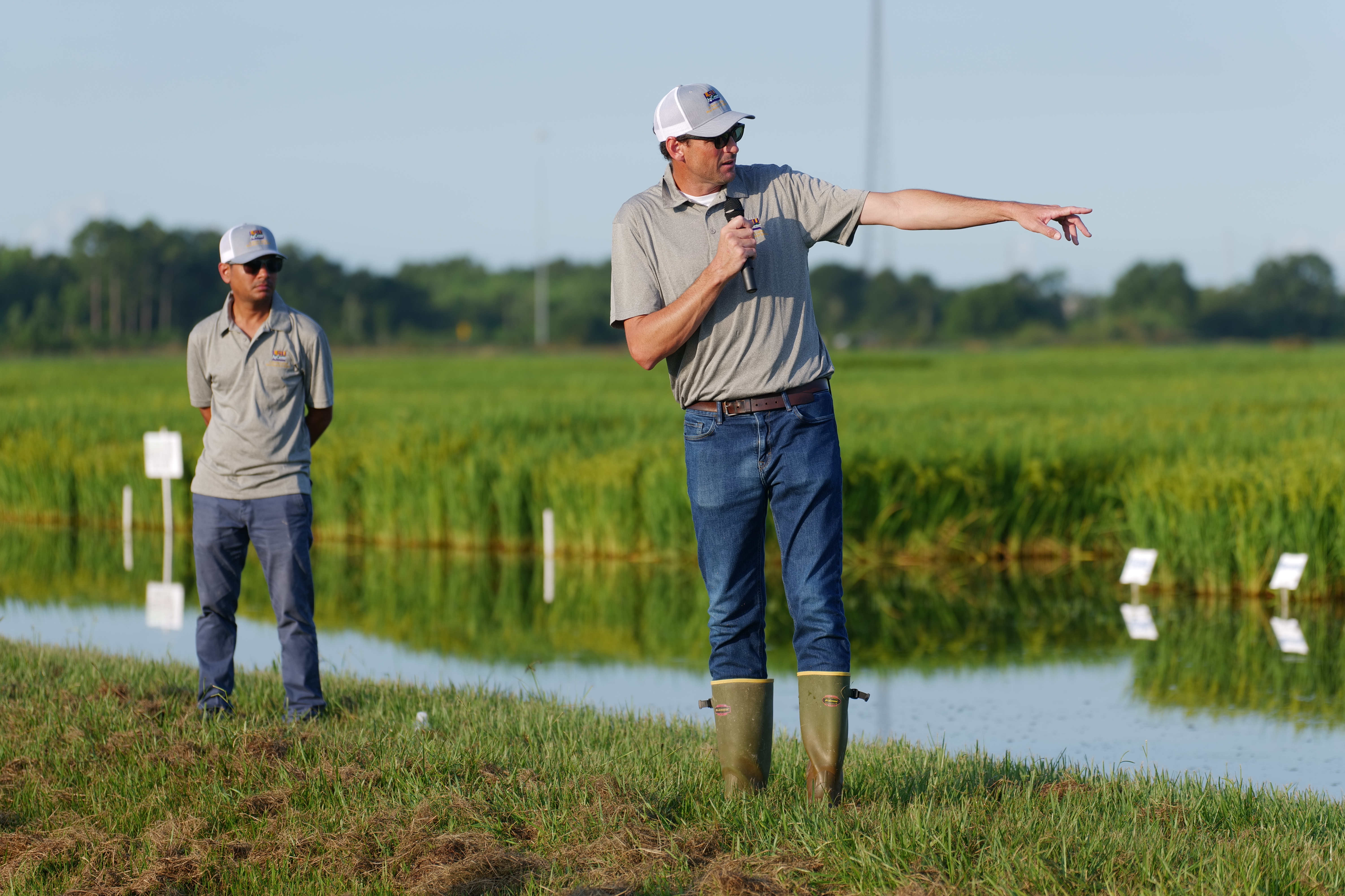 Two men standing near a rice field.