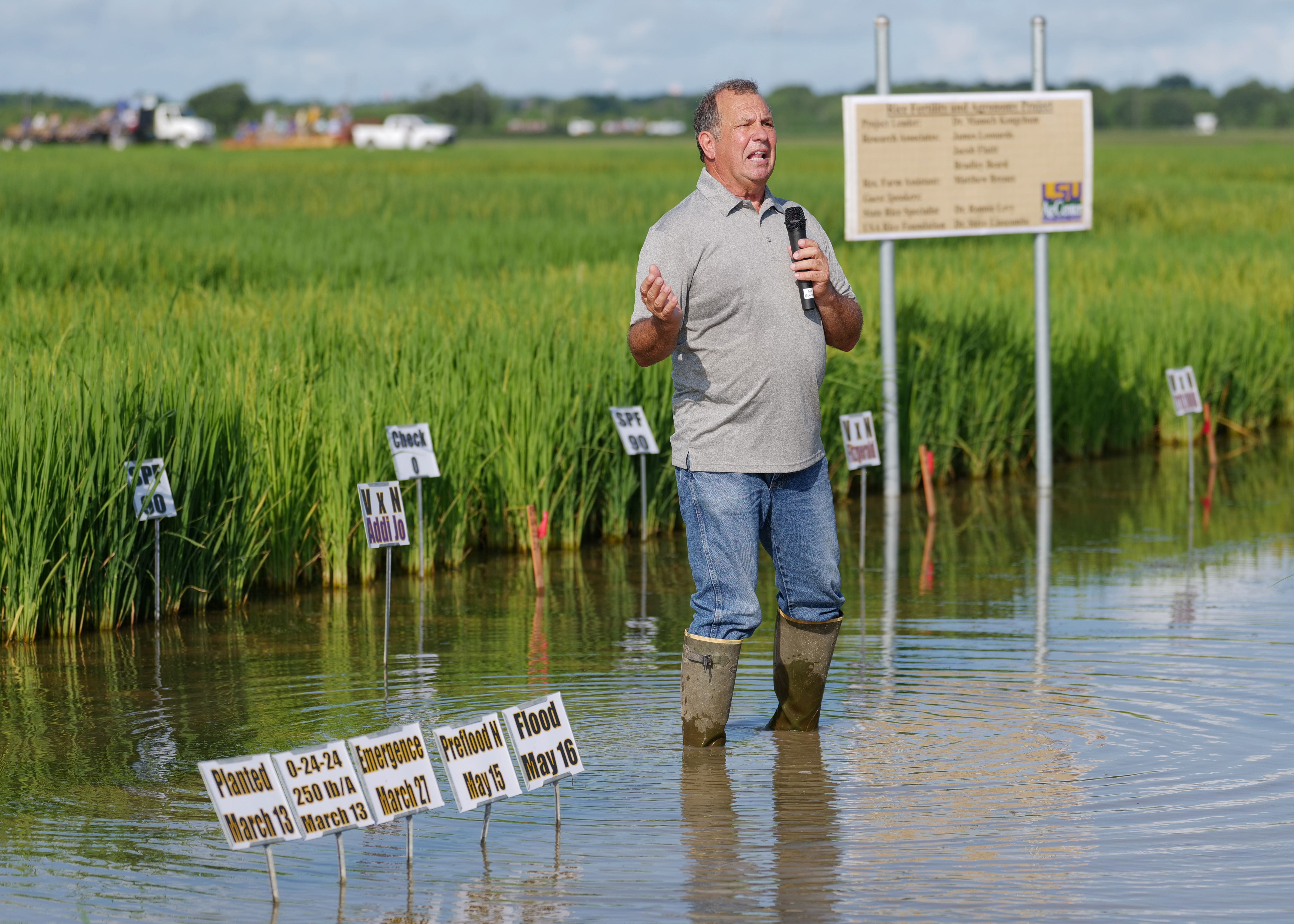 Man standing in flooded rice field.
