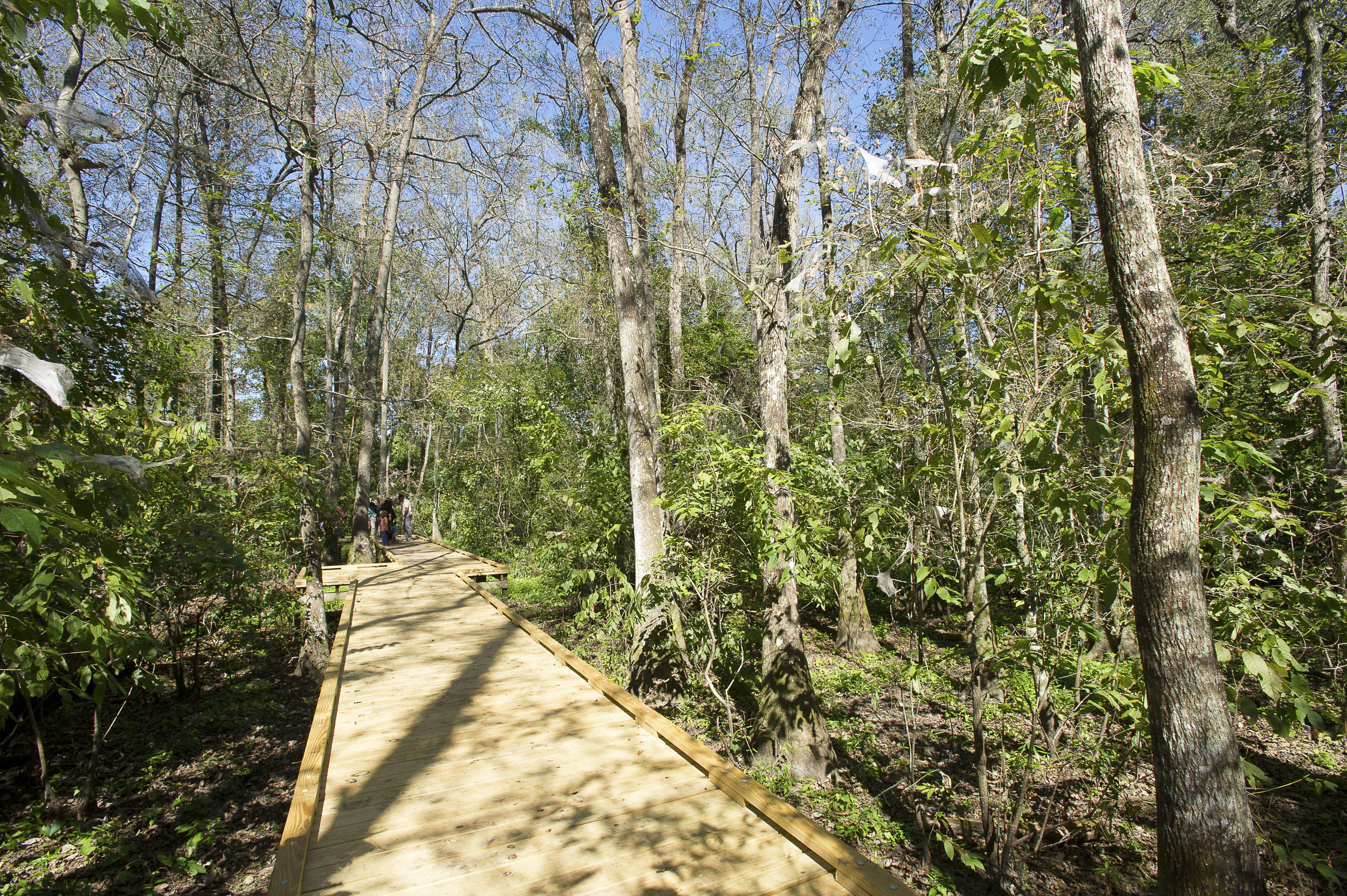 boardwalk