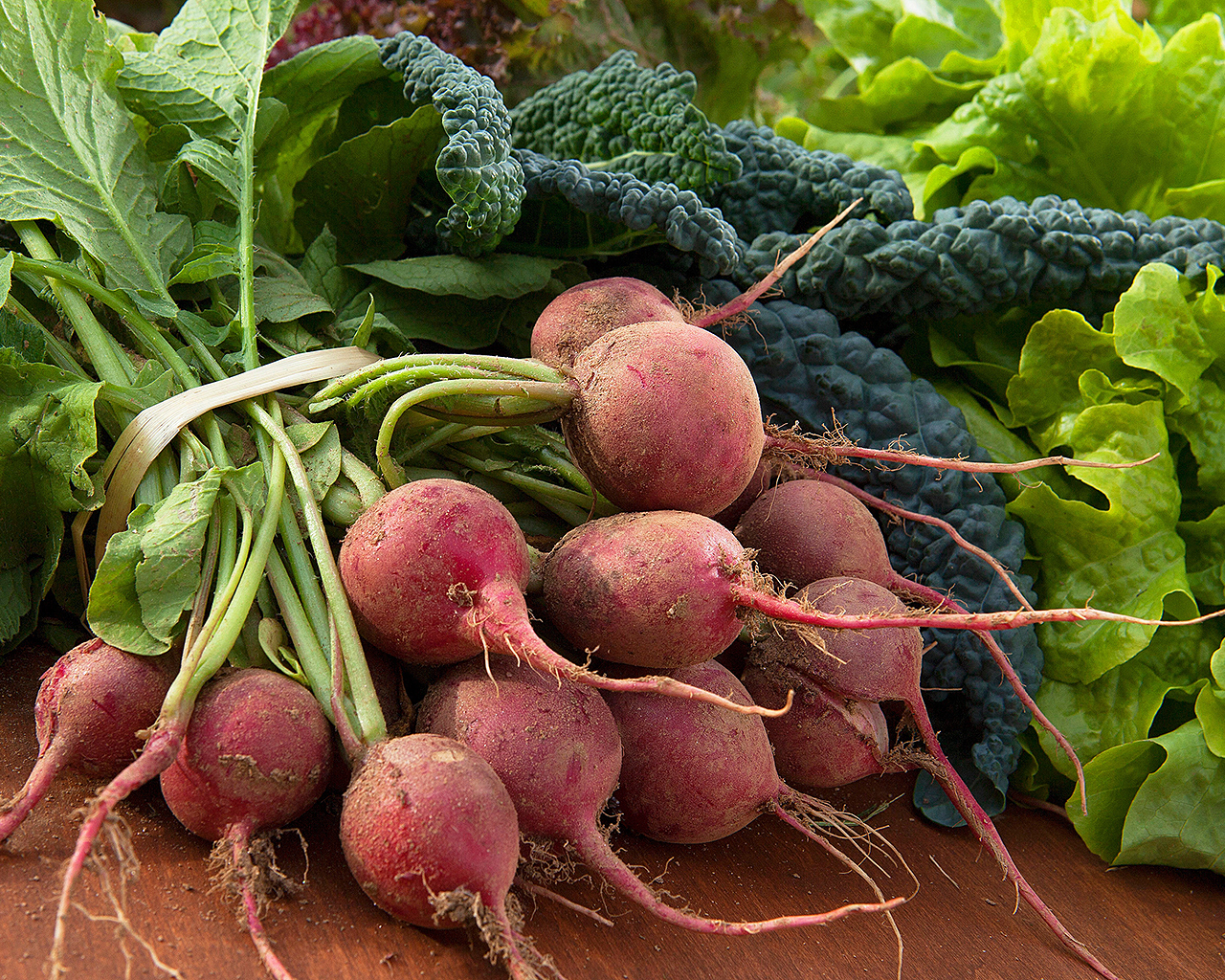 Beet it to the Garden and Plant Some Root Vegetables