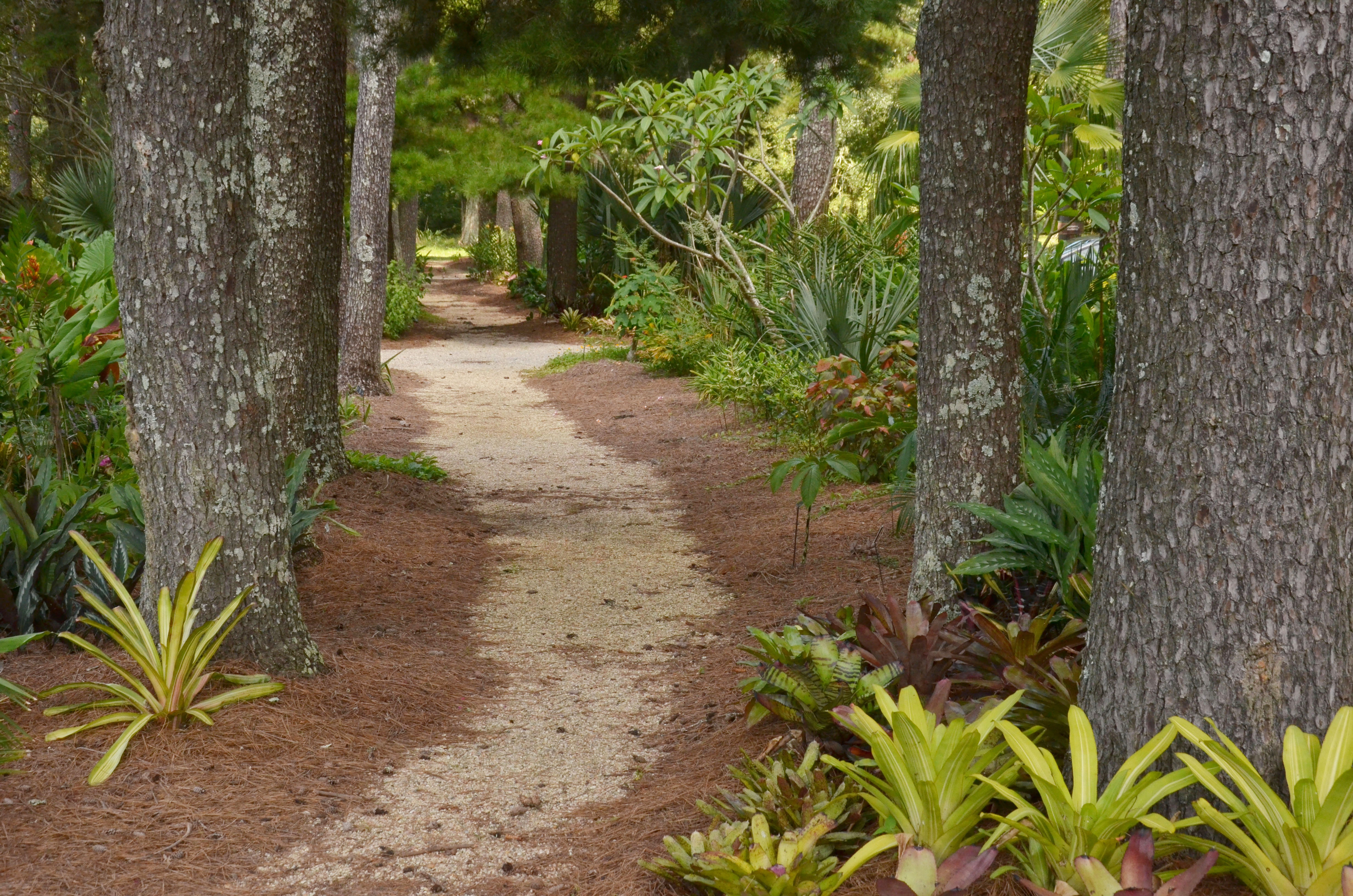 LSU AgCenter Botanic Gardens: An urban oasis 