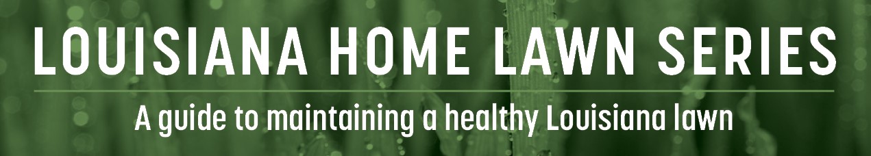Louisiana Home Lawn Series: ​Compaction & Aerification