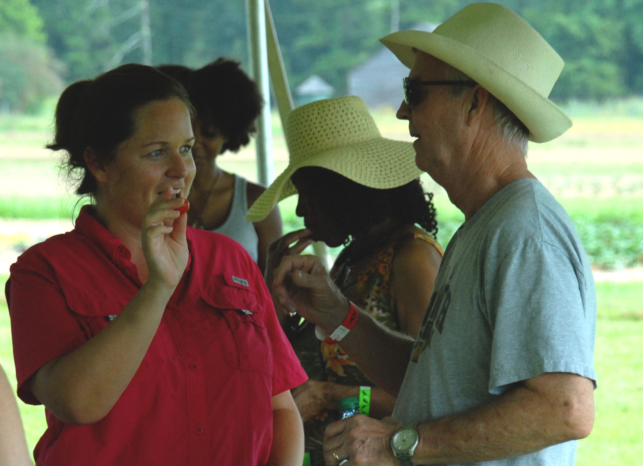 Garden Fest treats visitors to food, fun