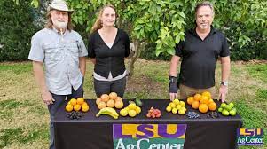 122021_fig_3_home_citrus_coursejpg