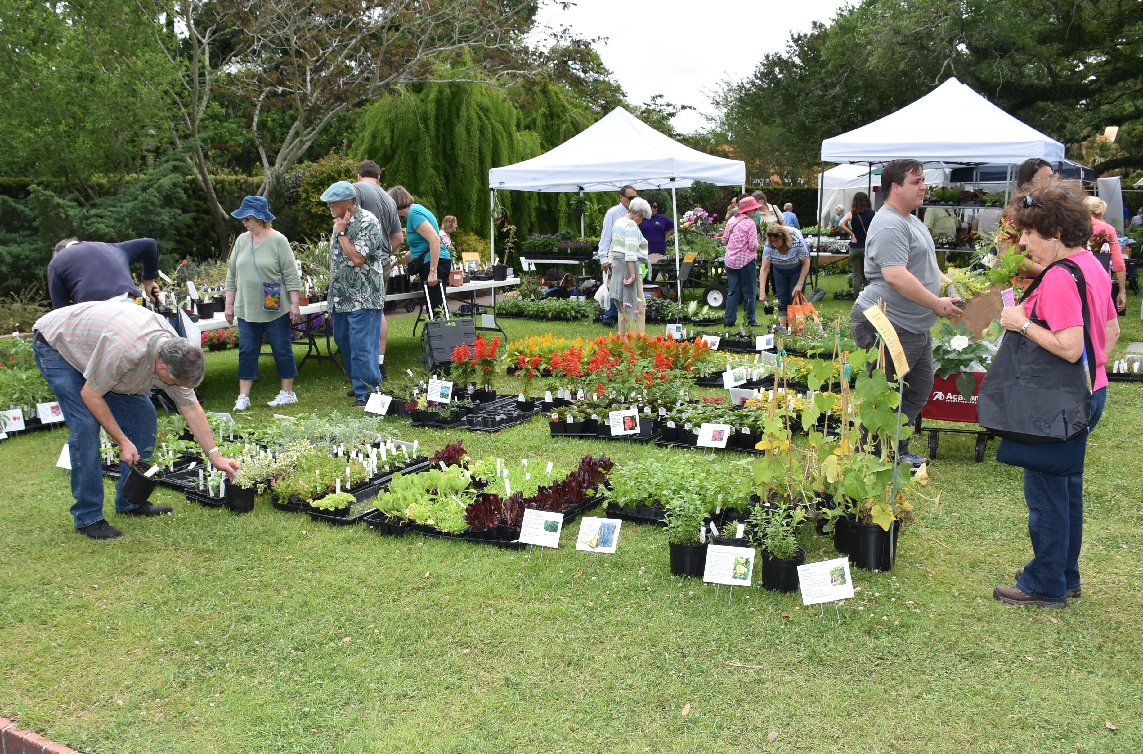 40th annual New Orleans garden show scheduled for April