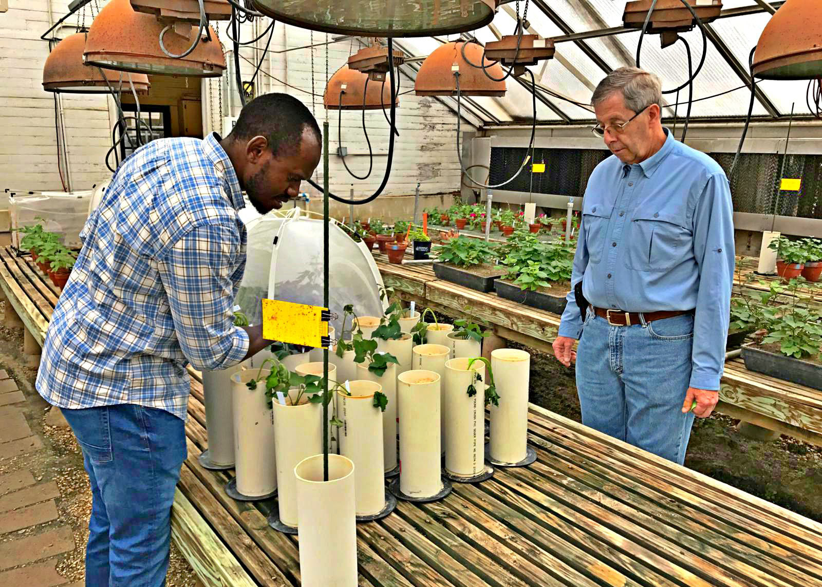 Fellowship program brings international scientists to study at LSU AgCenter 