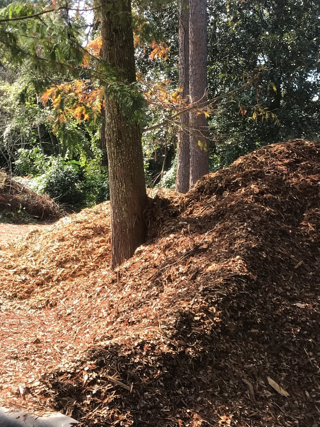 mulchjpg