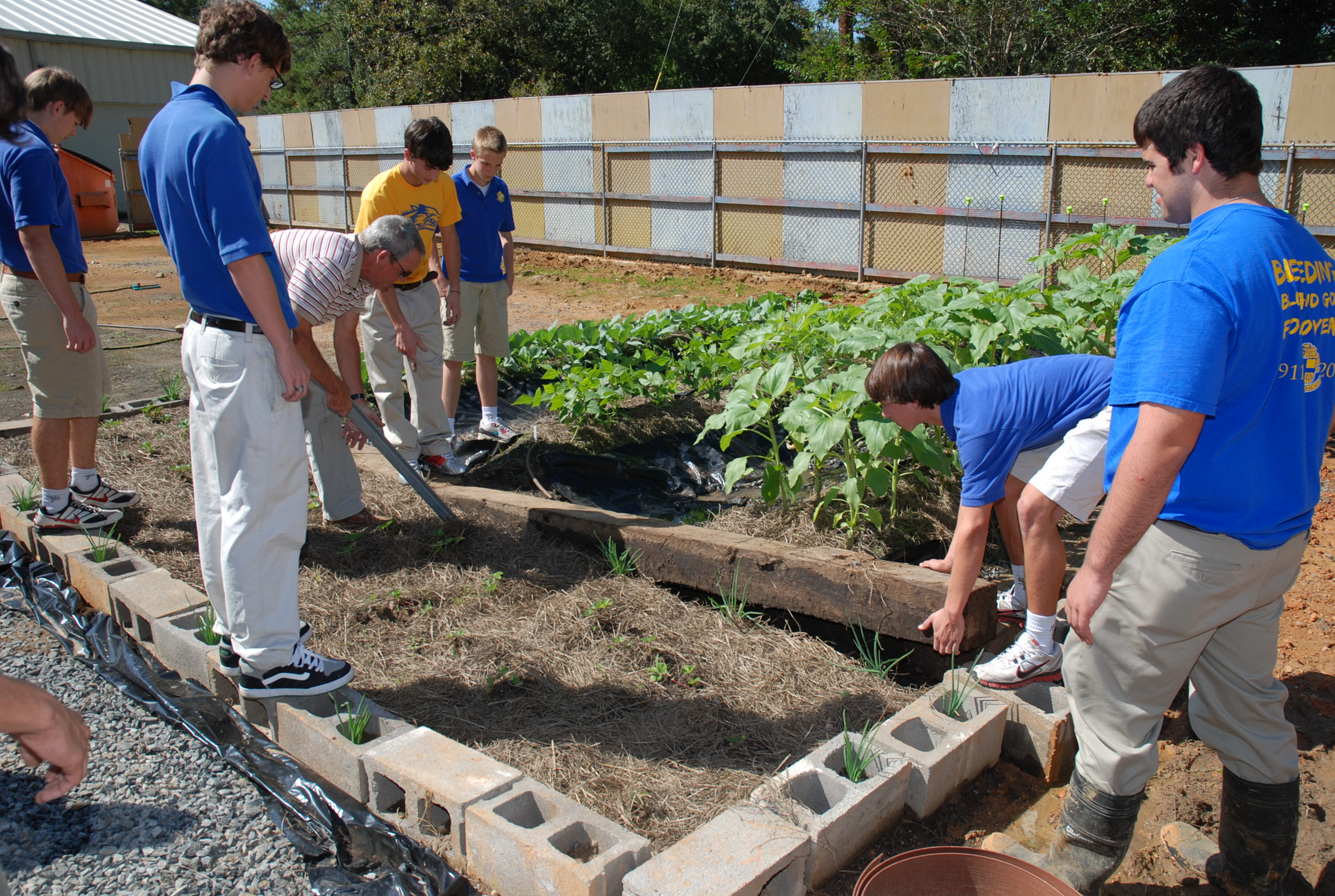 Covington school plants garden to increase environmental stewardship
