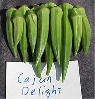 Okra