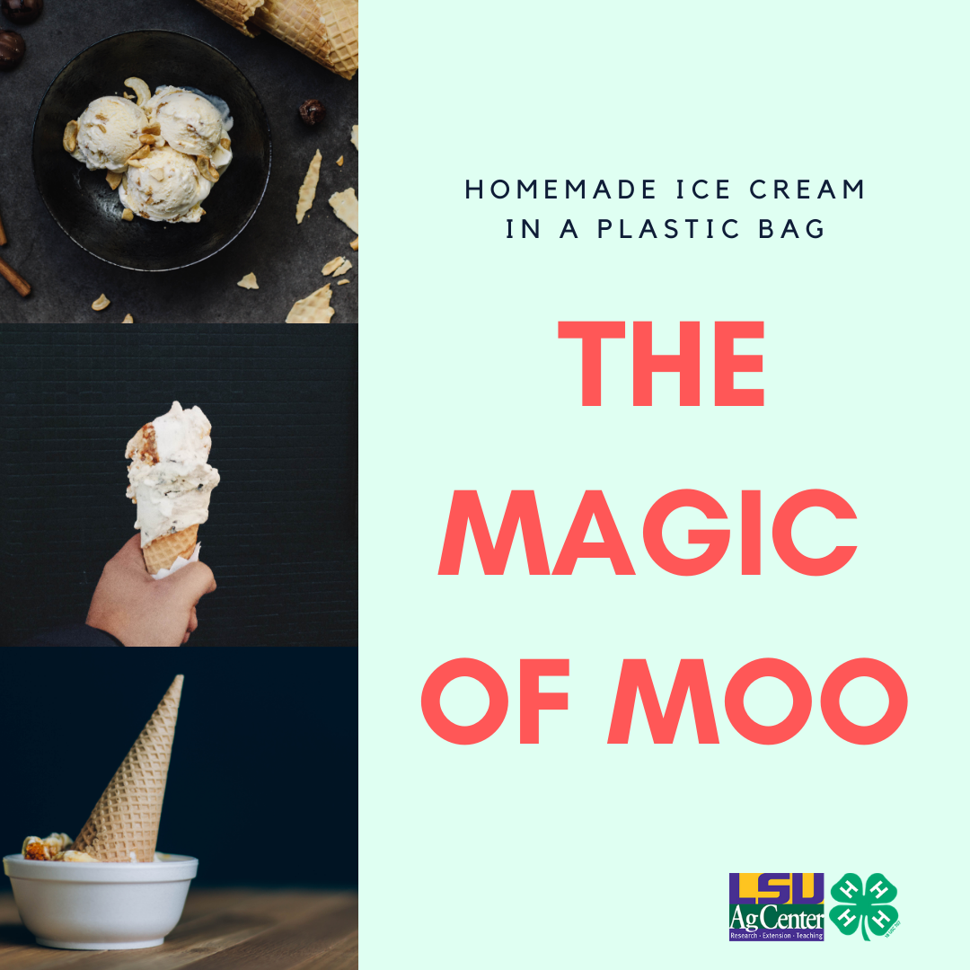 The Magic of Moo: Celebrating Dairy Month with Ice Cream