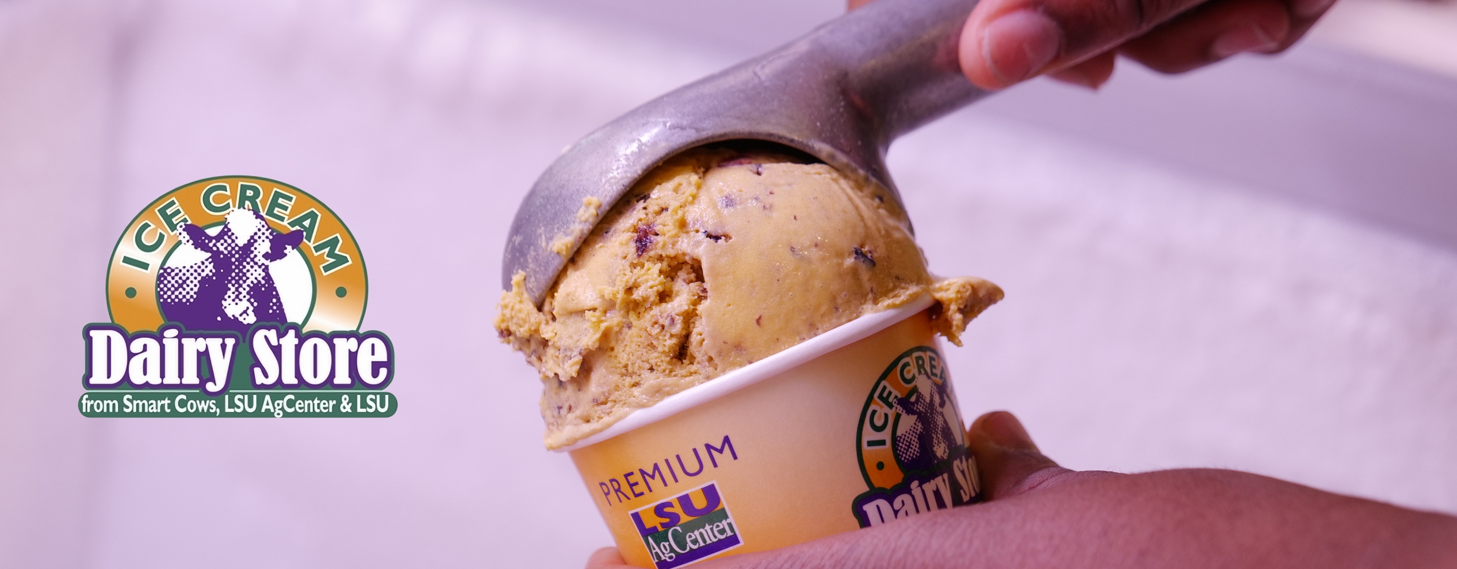 Dairy Store logo with scoop of tigerbite ice cream.