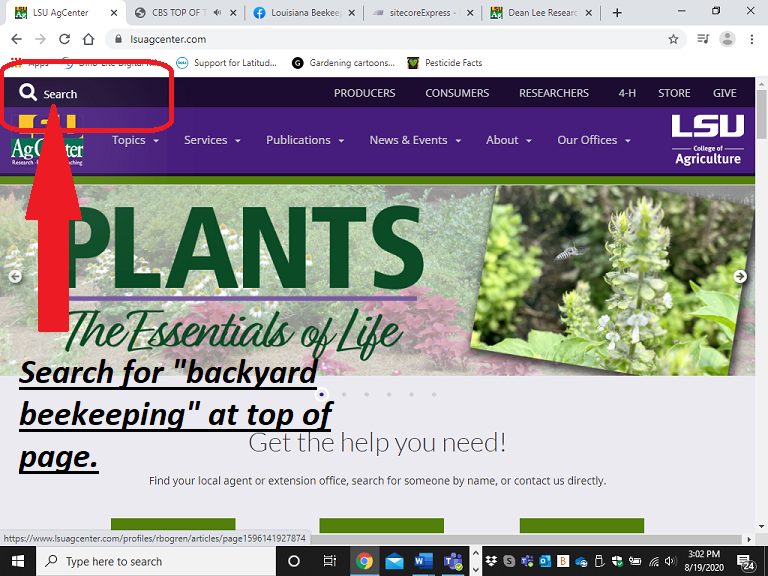 Beehive Buzz: New Online Beekeeping Resource