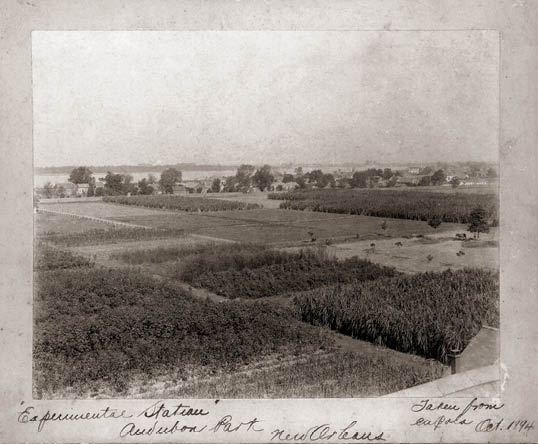 Louisiana Agriculture Research begins with the Sugar Experiment Station