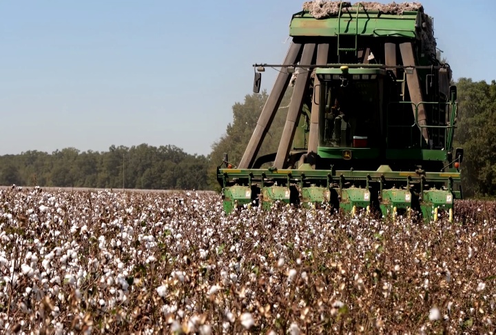 Weather was unkind to Louisiana agriculture in 2022