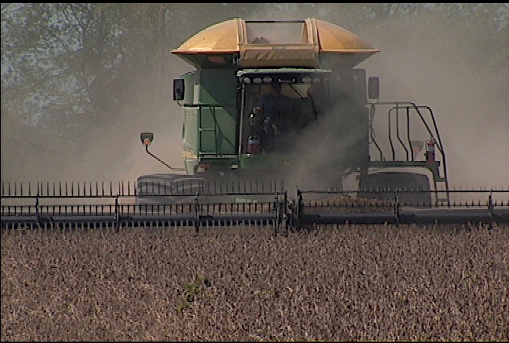 Soybeans yields, prices are high