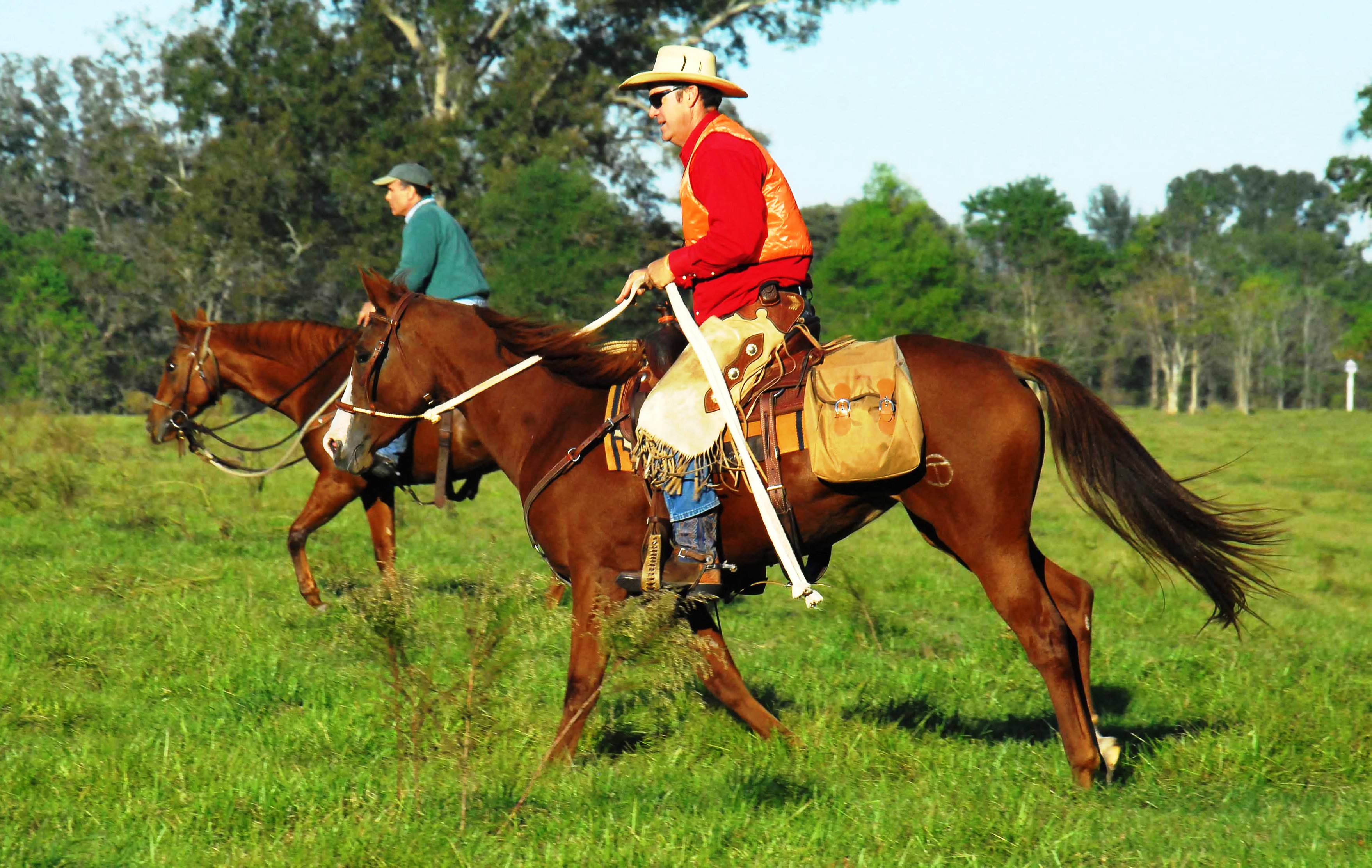 horse and rider running