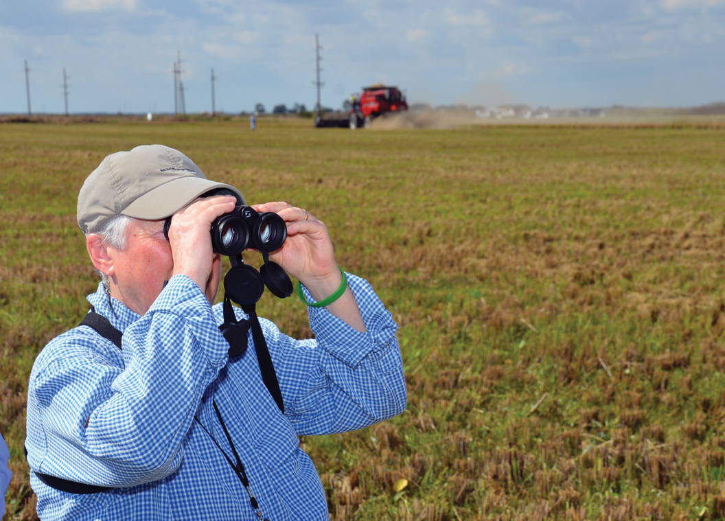 Birders flock to south Louisiana