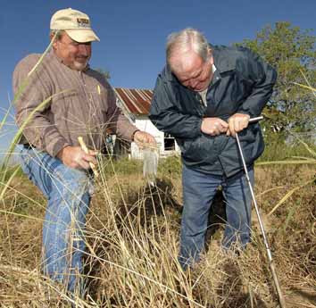 Scientists Investigate Salty Surge Effects on Agricultural Fields