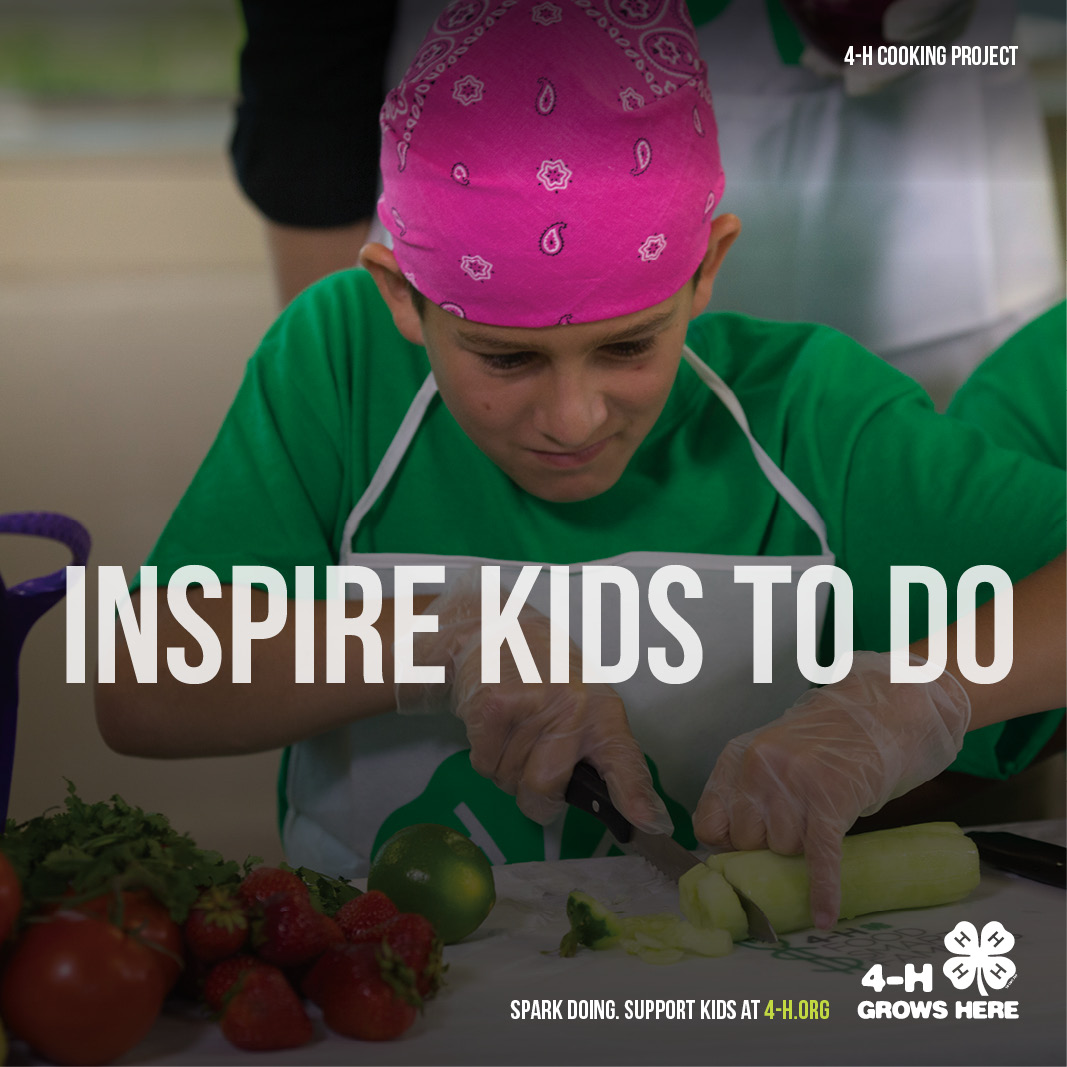 Inspire Kids to Do. Spark Doing. Support Kids at 4-h.org