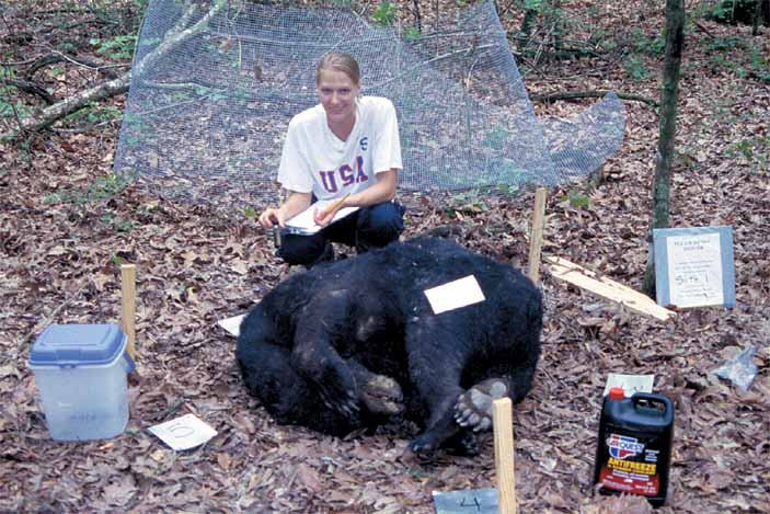 Insects Incriminate Poachers of Louisiana Wildlife
