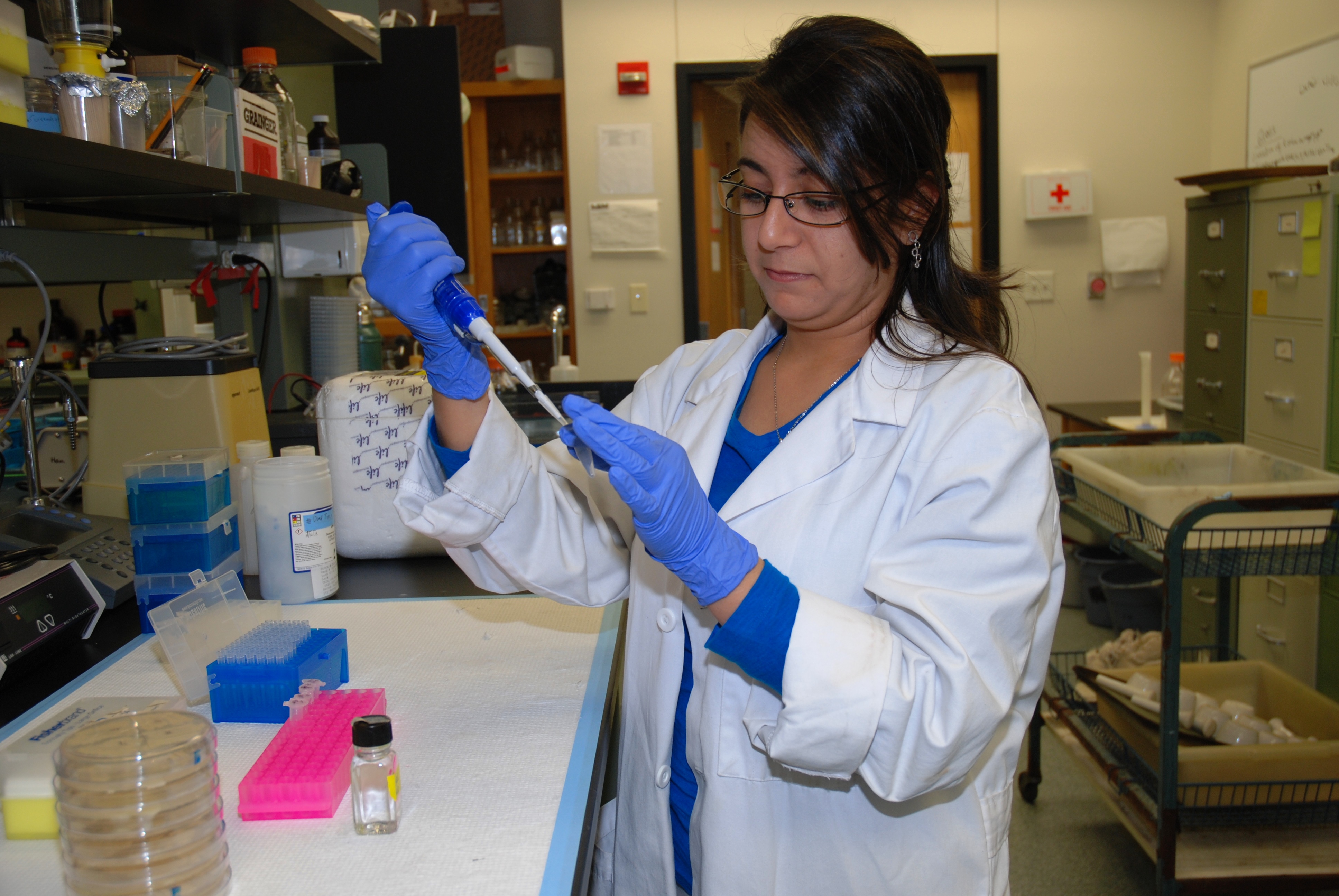 Fellowships bring international scientists to LSU AgCenter