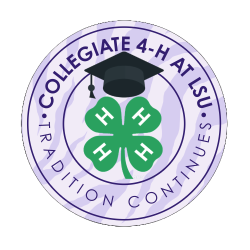 Collegiate4HLSU_Logo2024_Purple.png thumbnail
