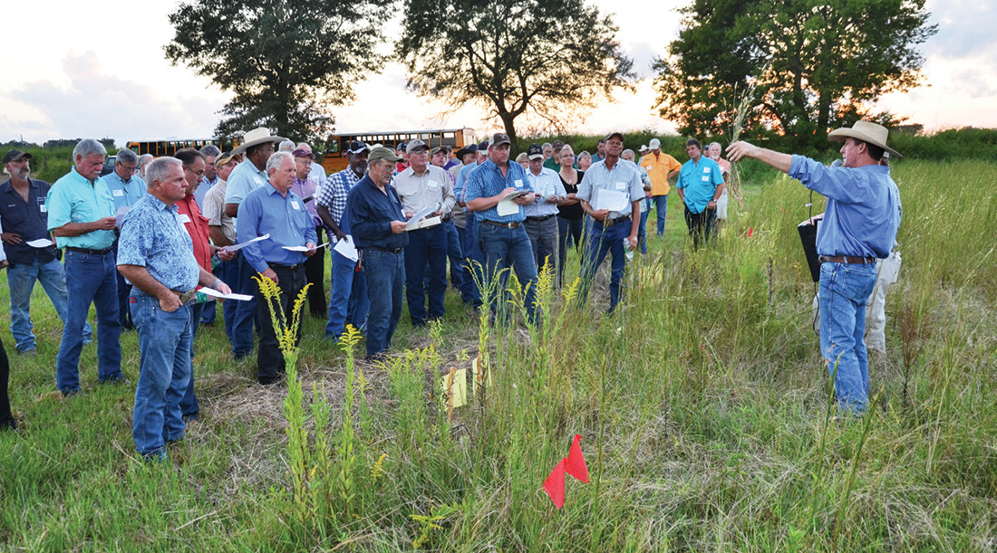 AgCenter News