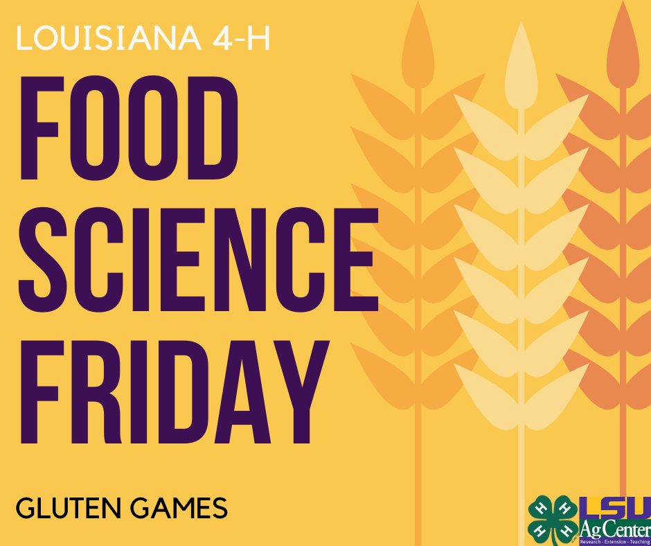 Can You Find The Gluten?