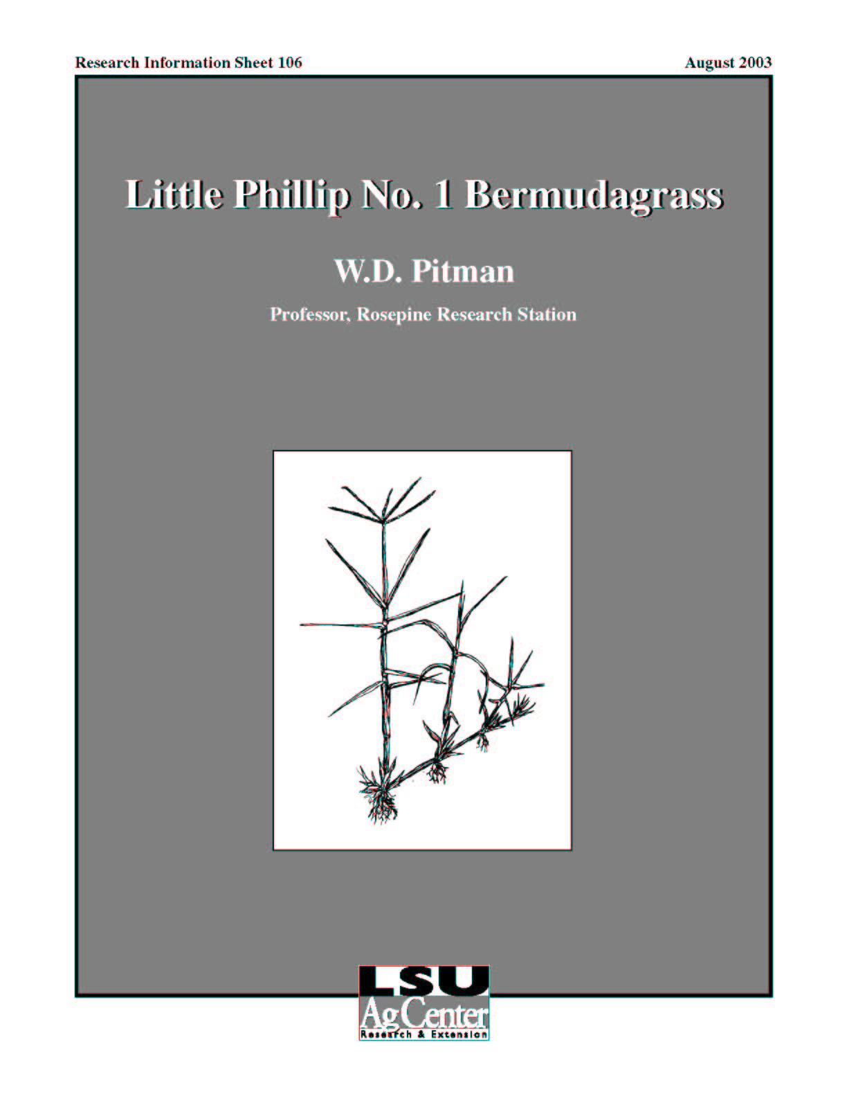 Little Phillip No. 1 Bermudagrass (August 2003)