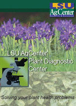 Welcome to the Plant Diagnostic Center