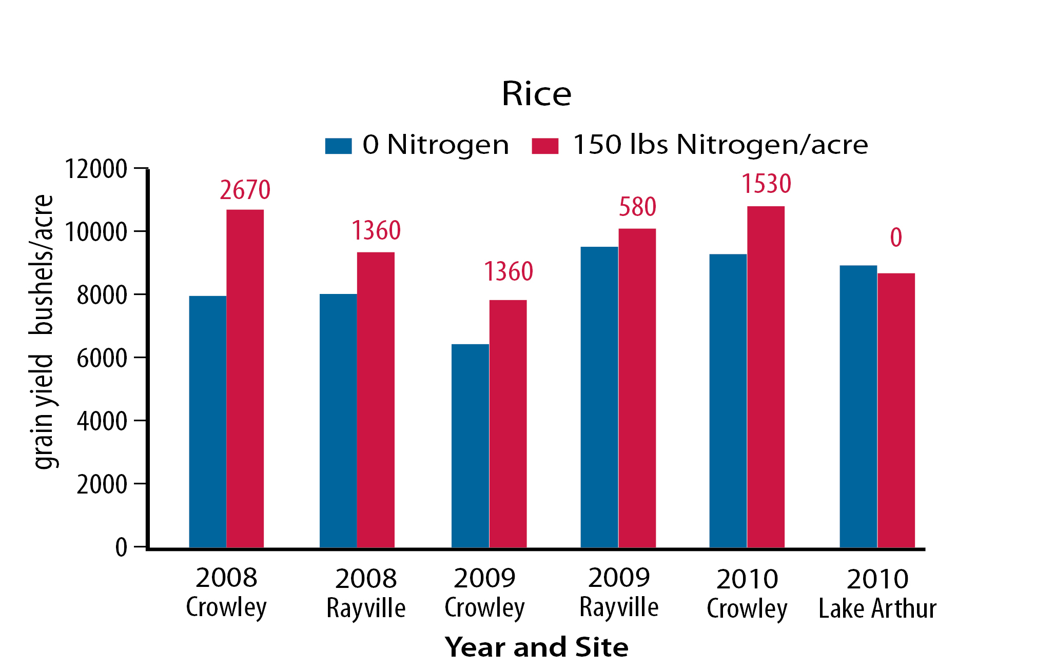 Figure 1. rice