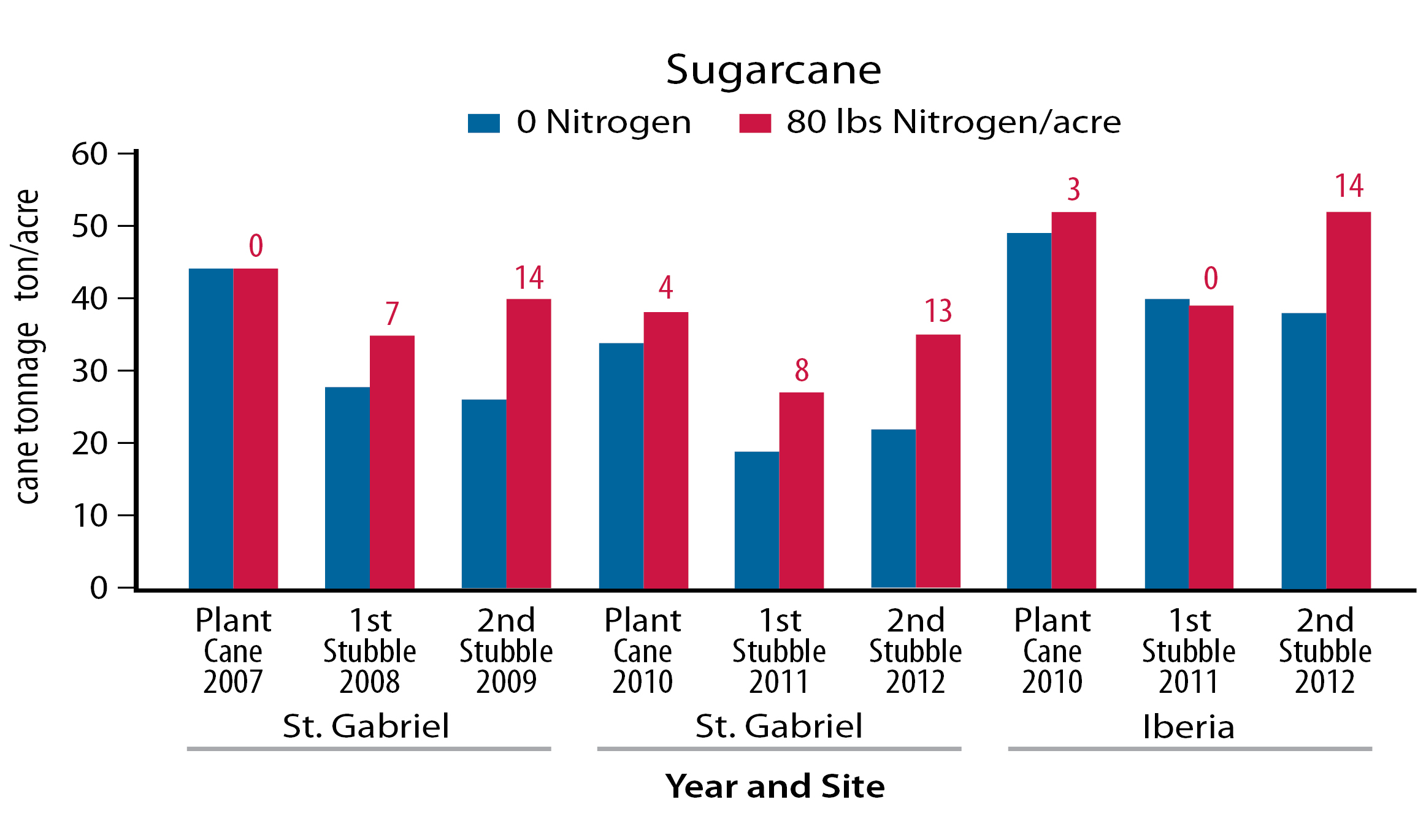 Figure 1. sugarcane