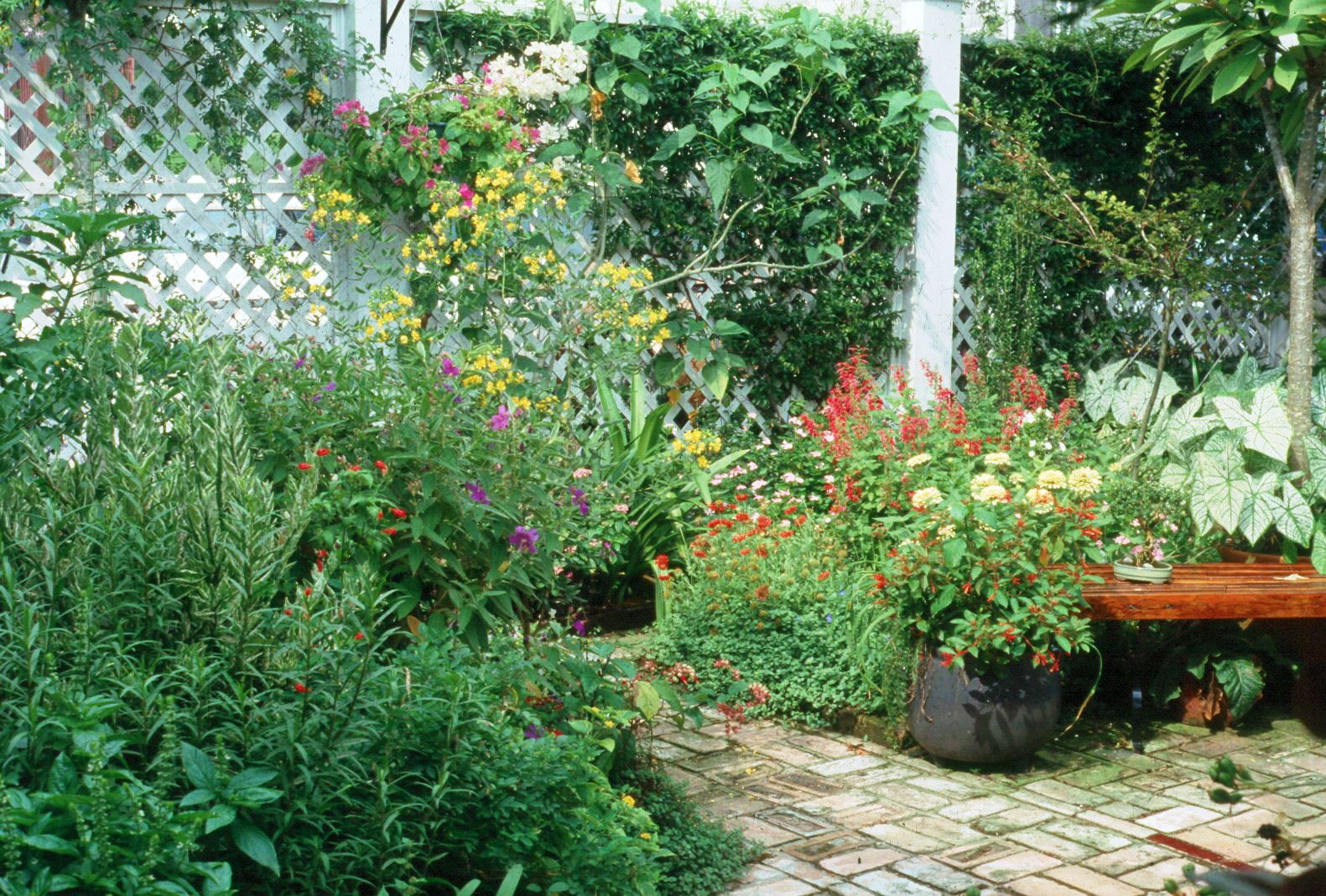 warm-season flowers