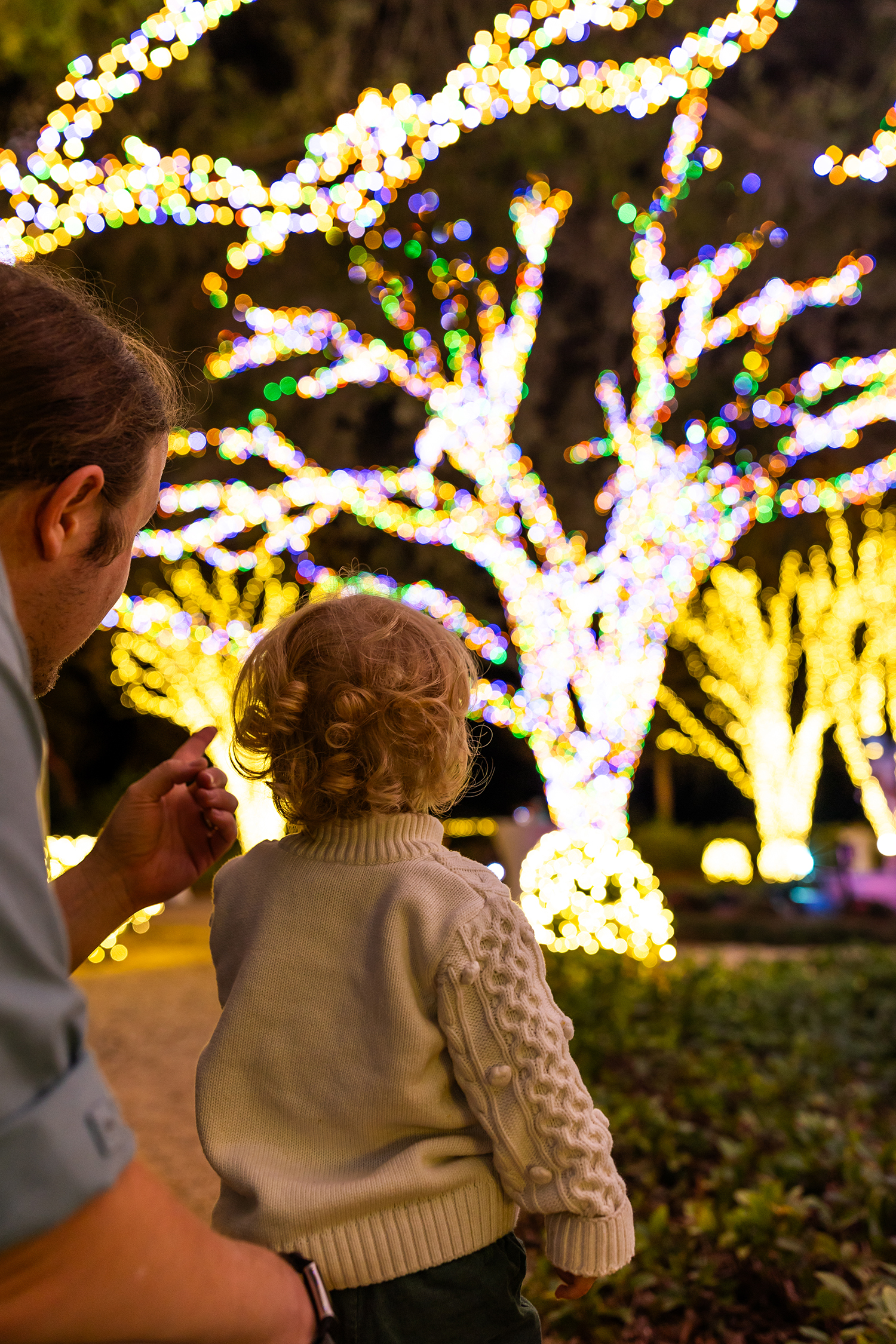 Louisiana Lights: Where the Holidays Shine dazzles at Windrush Gardens from Nov. 29 to Dec. 29 